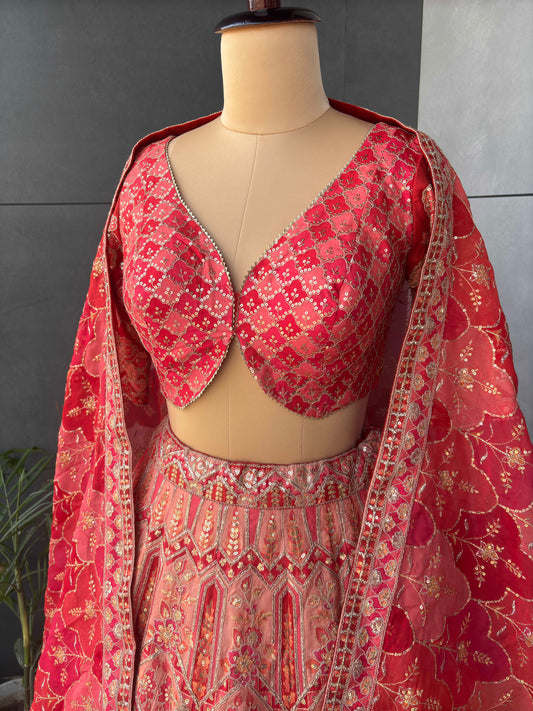 Carnival Organza Lehenga with Sequins Work