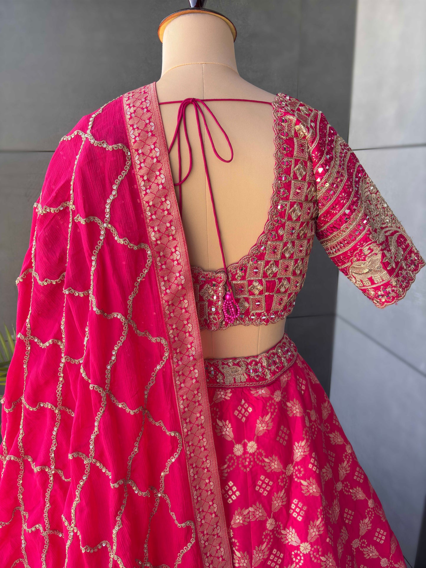 Rani Colour Lehenga with Designer Blouse
