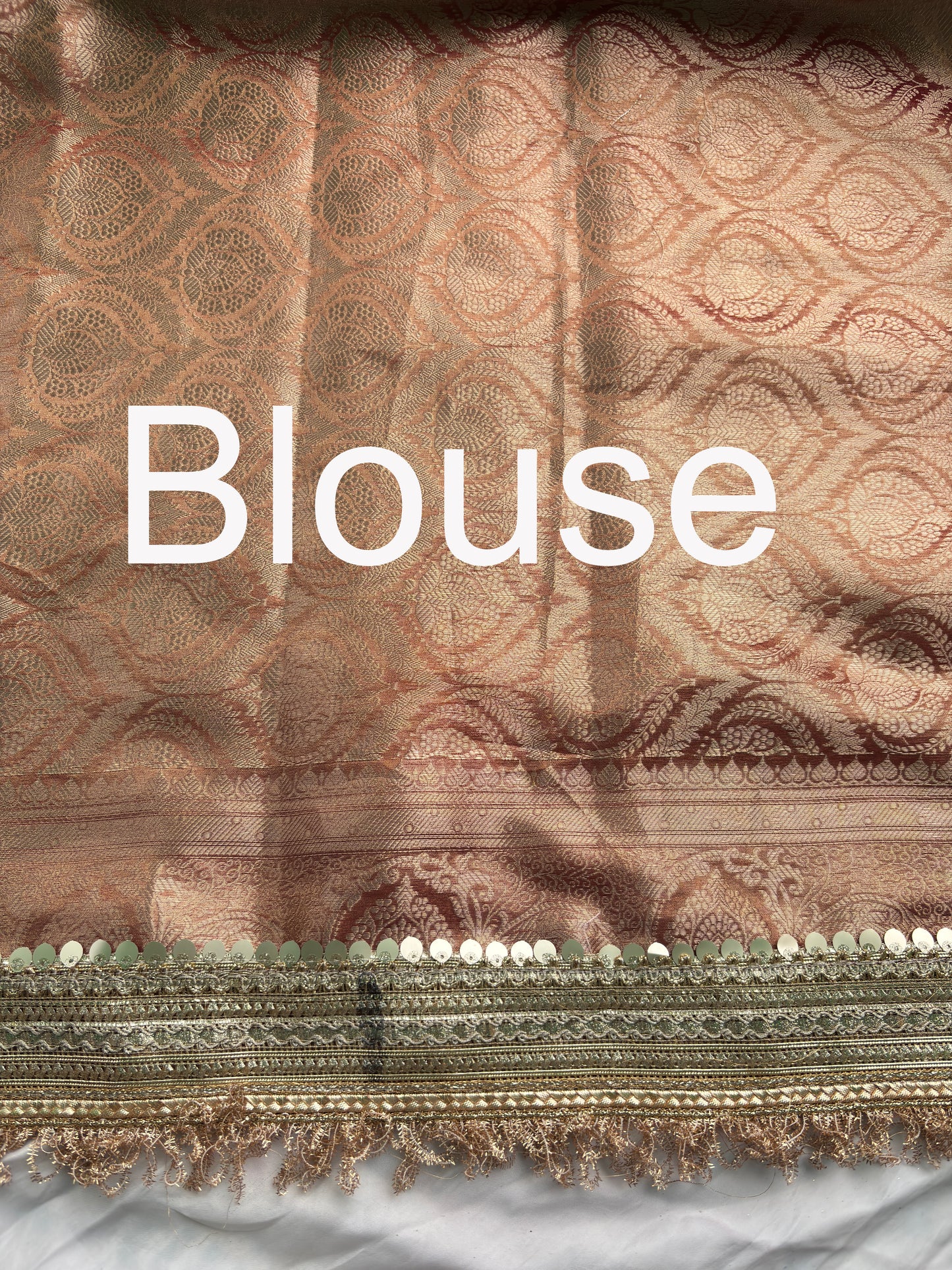 Grand Saree with Handcrafted Royal Elephant Zardozi & Bead Embroidery