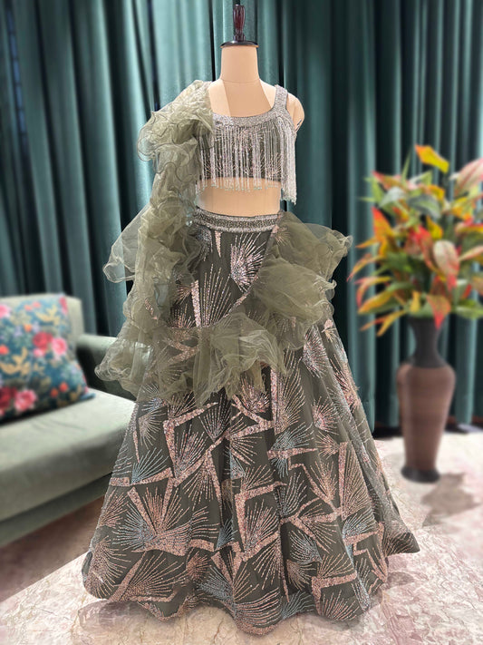 Intricate Embellished Lehenga with Modern Blouse