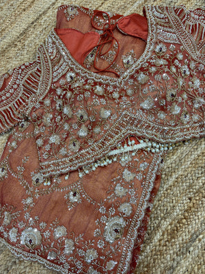 Rust Orange Heavy Zari Embroidered Designer Saree Blouse