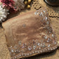 Champagne Gold Embroidered Saree with Floral Sequin Border