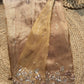 Champagne Gold Embroidered Saree with Floral Sequin Border