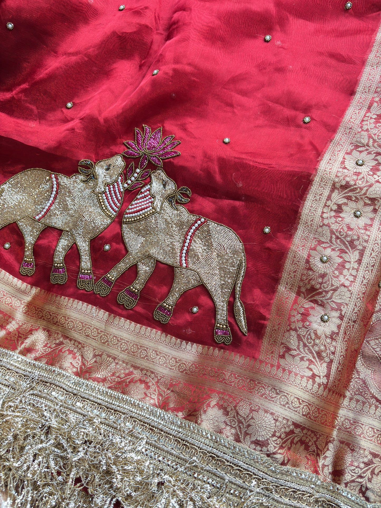 Red Saree with Pure Banarasi Tissue Nandi Motif & Rich Zari Border