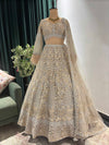Champagne Gold Heavy Embroidered Designer Lehenga Set