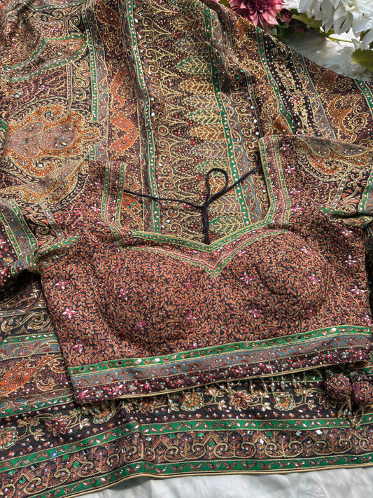 Traditional Multicolor Designer Saree with Paisley Print & Embroidered Blouse