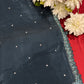 Pastel Teal Saree with Heavy Sequin & Mirror Work Designer Blouse