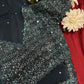 Pastel Teal Saree with Heavy Sequin & Mirror Work Designer Blouse