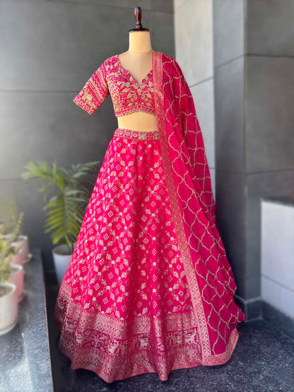 Rani Colour Lehenga with Designer Blouse