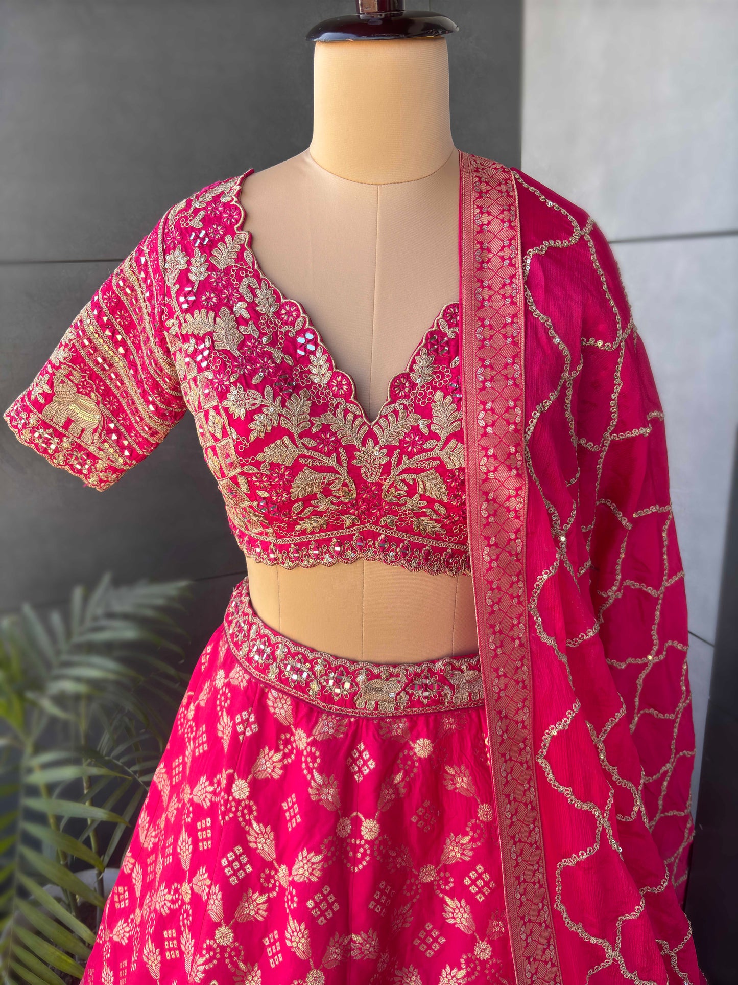 Rani Colour Lehenga with Designer Blouse