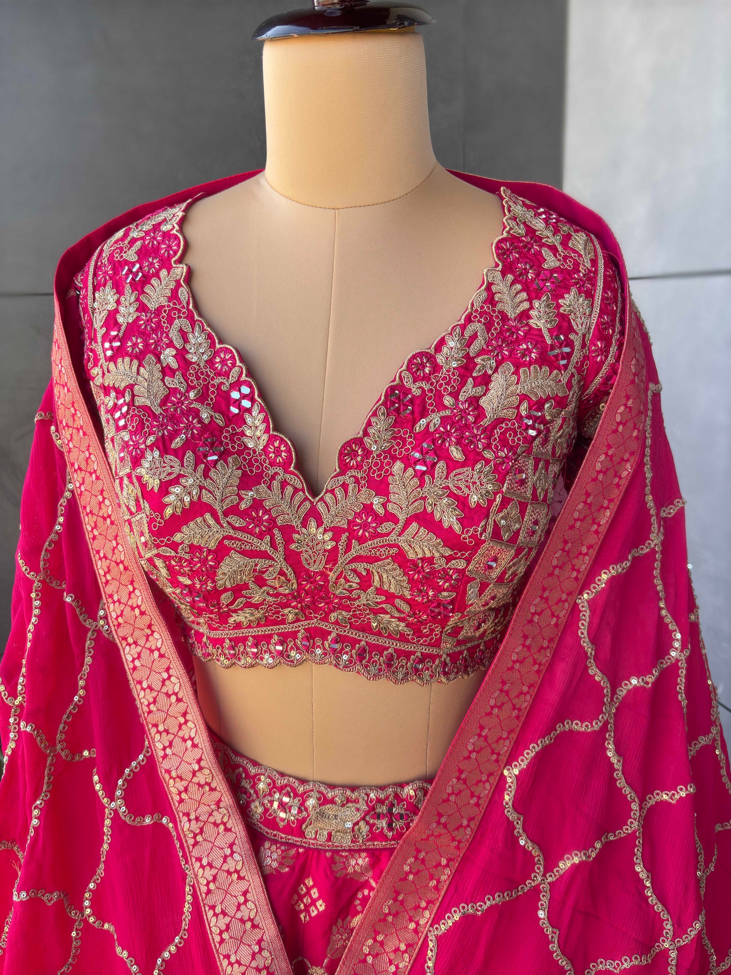 Rani Colour Lehenga with Designer Blouse