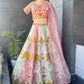 Pastel Multicolor Embroidered Lehenga with Organza Dupatta