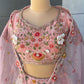 Pastel Multicolor Embroidered Lehenga with Organza Dupatta