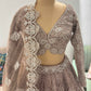 Taupe Brown Embroidered Lehenga Choli with Net Dupatta
