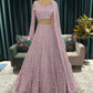 Rose Quartz Lehenga With Handcrafted Mirror Embroidery