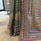 Green Printed Saree with Multicolor Borders and Matching Blouse