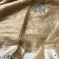 Golden Ashva Maharani Embroidered Saree with Black & Gold Border