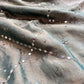 Sage Green Sisa Maharani Saree with Embroidery & Silver Border