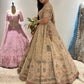 Embroidered Bridal Lehenga with Exquisite Handcrafted Detailing