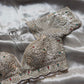 Silver Grey Embroidered Saree with Jewel Embellished Designer Blouse