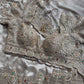 Silver Grey Embroidered Saree with Jewel Embellished Designer Blouse