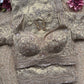 Champagne Beige Heavy Embroidered Saree with Designer Blouse