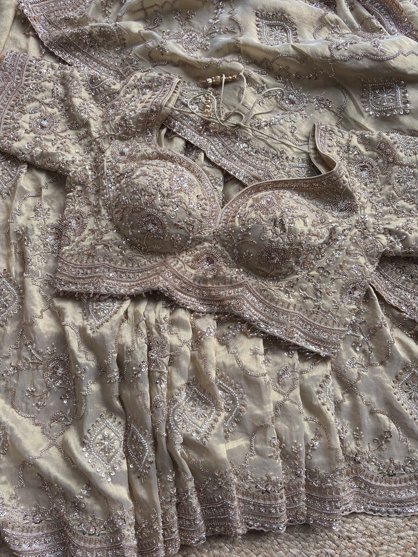Champagne Beige Heavy Embroidered Saree with Designer Blouse