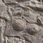 Champagne Beige Heavy Embroidered Saree with Designer Blouse