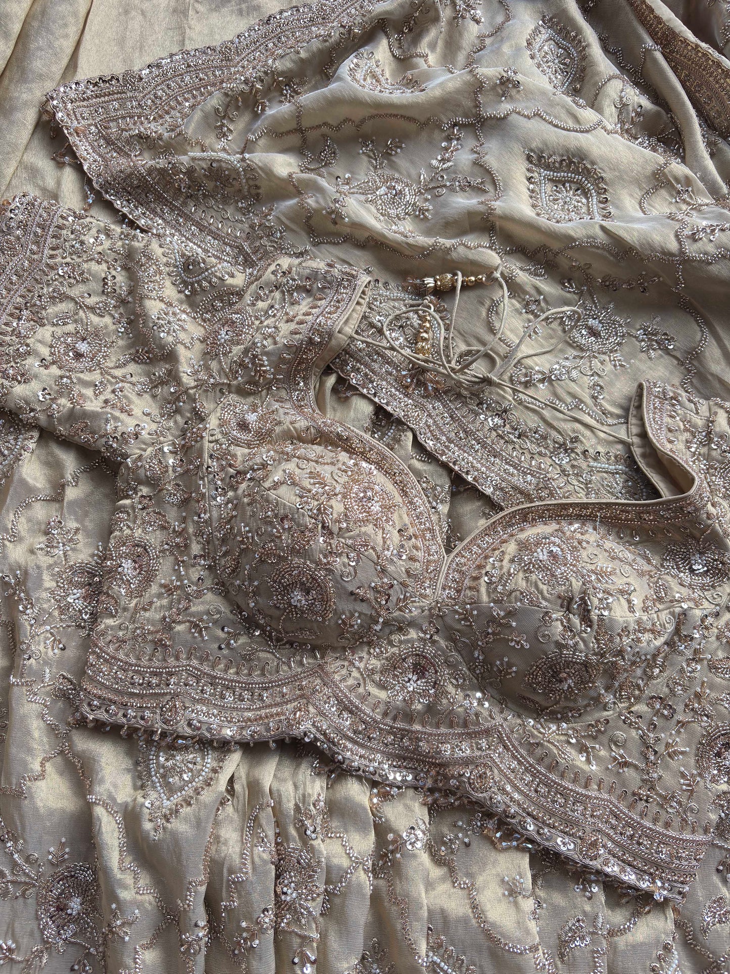 Champagne Beige Heavy Embroidered Saree with Designer Blouse