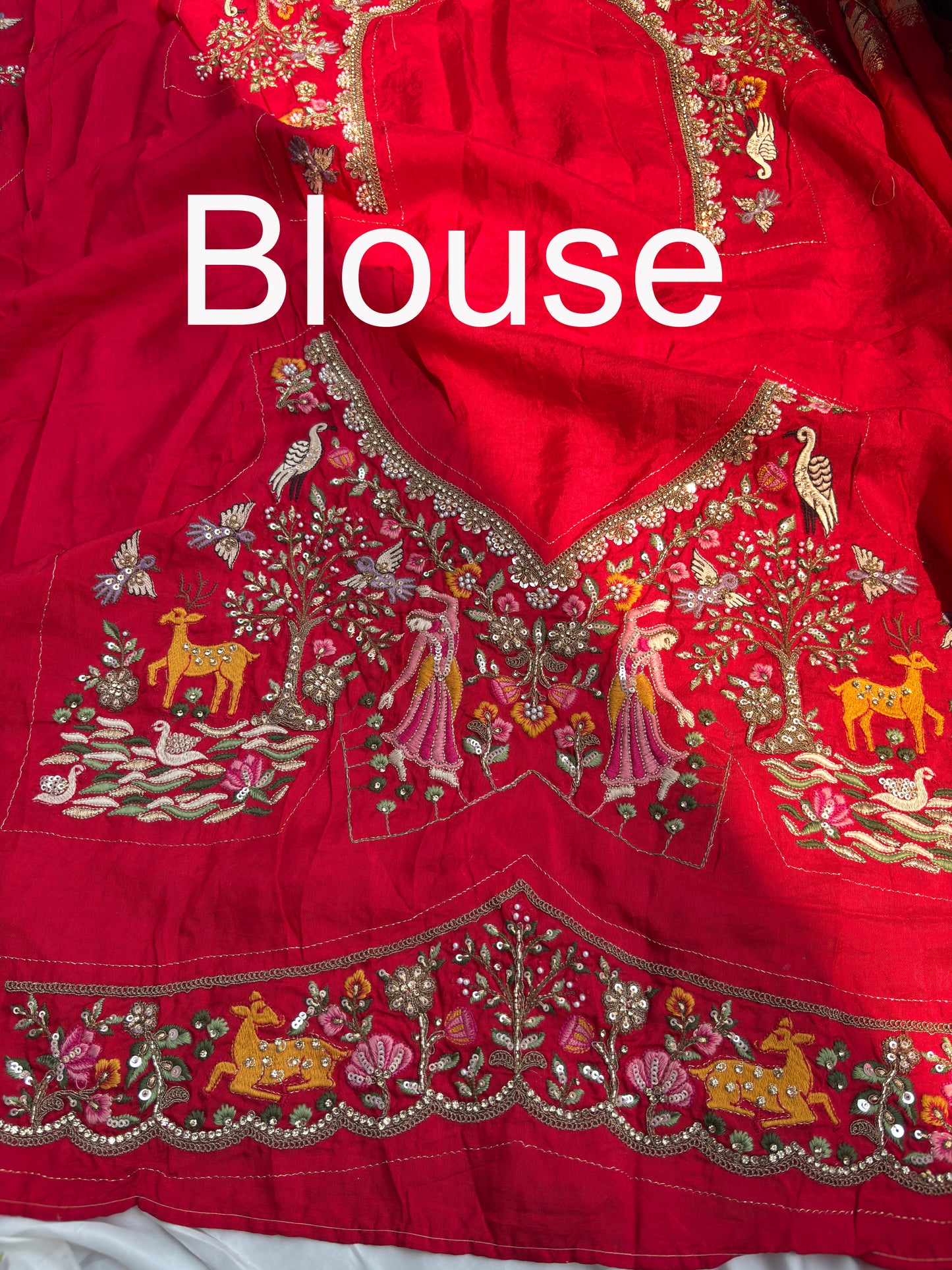 Grand Designer Embroidered Saree with Story Motifs & Sequins