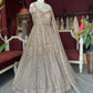 Champagne Sequin Designer Lehenga with Embellished Net Dupatta