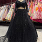 Black Sequin Embroidered Net Lehenga with Full-Sleeve Designer Blouse