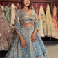Powder Blue Gold Embroidered Designer Lehenga with Dupatta