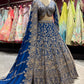Royal Blue Zari Embroidered Designer Lehenga