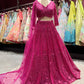Rani Pink Heavy Embroidered Party Wear Lehenga Choli with Dupatta