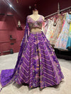 Royal Purple Multi-Color Embroidered Designer Lehenga Choli with Dupatta