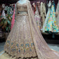 Dusty Rose Peacock Embellished Non Bridal Designer Lehenga Set