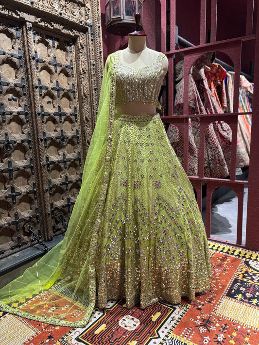 Indian Lehenga with Exquisite Embroidery and Ornate Detailing