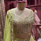 Indian Lehenga with Exquisite Embroidery and Ornate Detailing