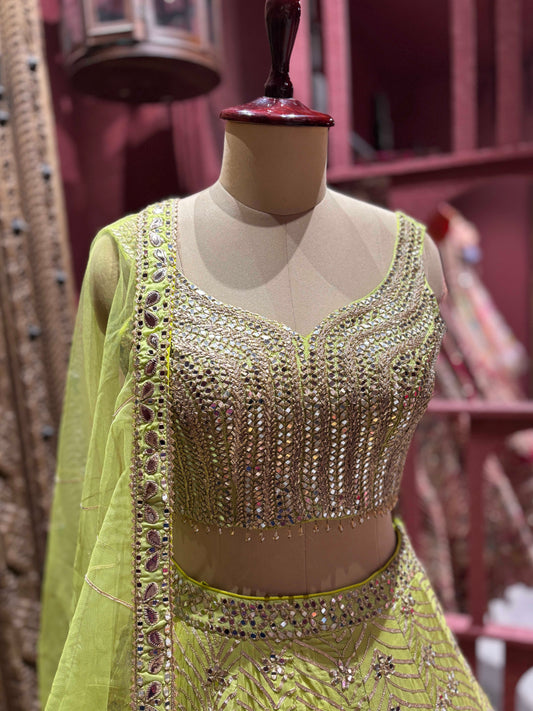 Indian Lehenga with Exquisite Embroidery and Ornate Detailing