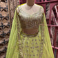 Indian Lehenga with Exquisite Embroidery and Ornate Detailing