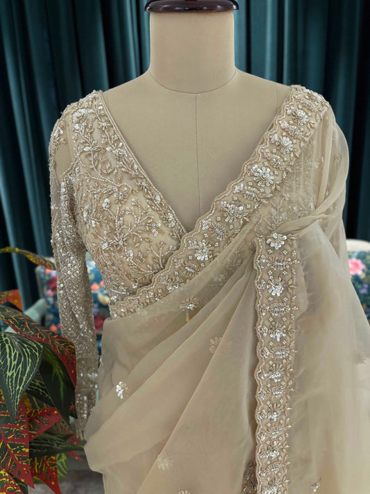 Champagne Gold Saree with Heavy Embroidery Border