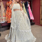 Ivory White Net Lehenga with Heavy Embroidery and Scallop Dupatta