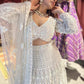 Lt-Grey Heavy Embroidered DesignerLehenga with Net Dupatta