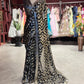 Designer Saree with Heavy Embellished Border and Matching Blouse