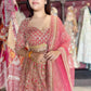 Royal Red Heavy Embroidered Bridal Lehenga with Net Dupatta