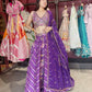 Royal Purple Multi-Color Embroidered Designer Lehenga Choli with Dupatta