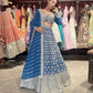 Grand Embroidered Lehenga Set with Zari & Beadwork Detailing