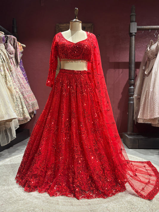 Regal Red Non Bridal Lehenga with Handcrafted Embroidery