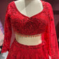 Regal Red Non Bridal Lehenga with Handcrafted Embroidery